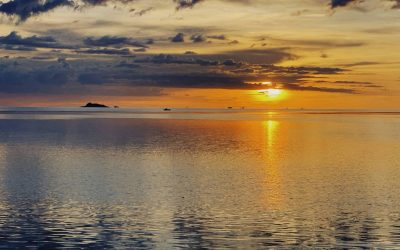 The Person We Used to Be